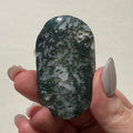 Moss Agate Palmstone | D