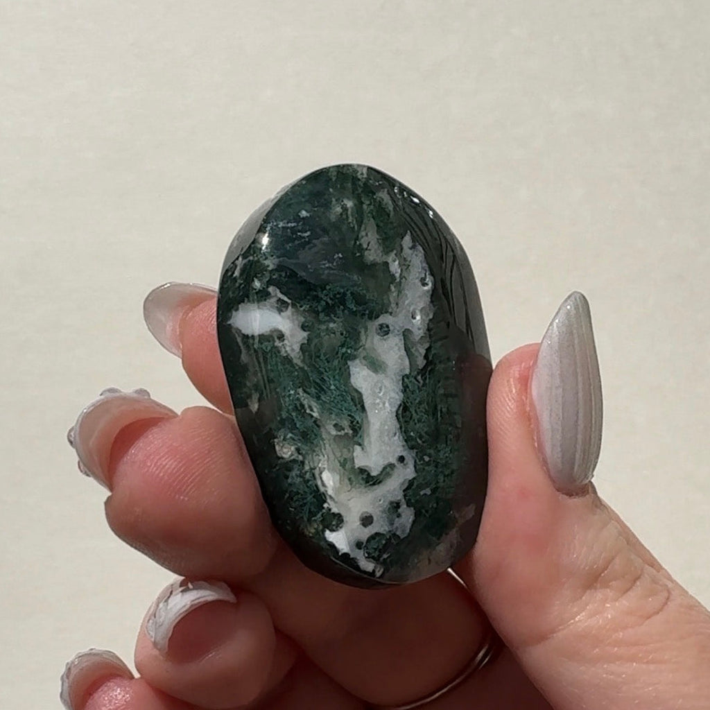 Moss Agate Palmstone | B