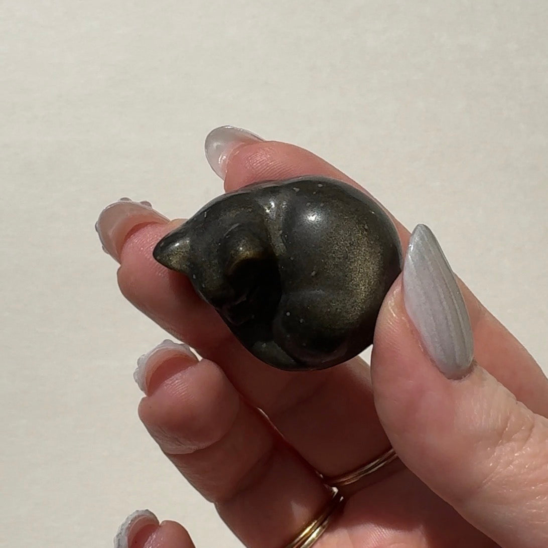 Golden Sheen Obsidian Cat