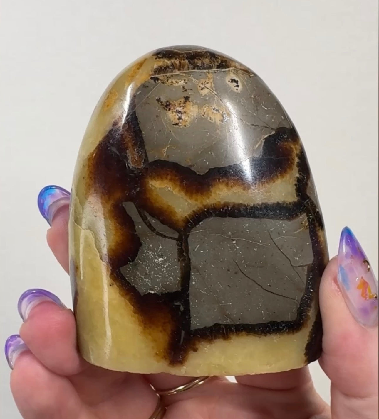 Septarian Cutbase | SEP4