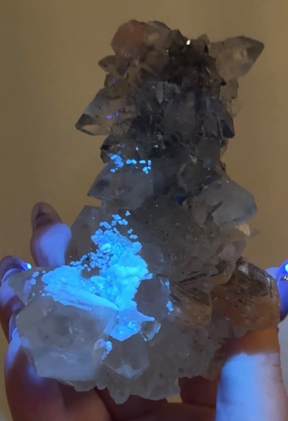 Diamond/Pink Apophyllite on Black Chalcedony with sugar | BDE