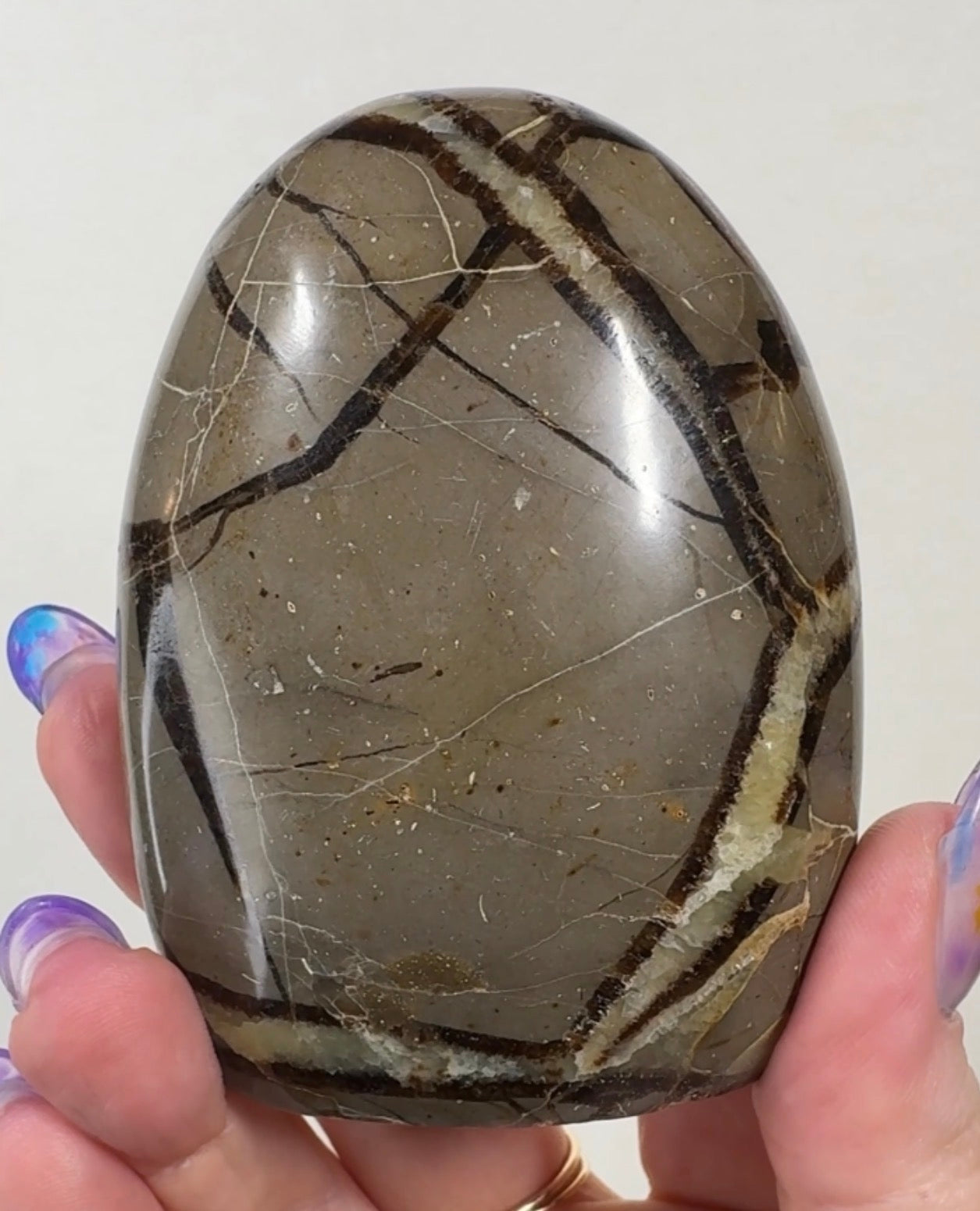 Septarian Cutbase | SEP