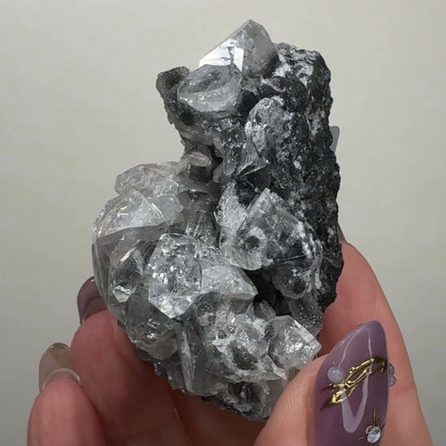 Diamond Apophyllite on Black Chalcedony