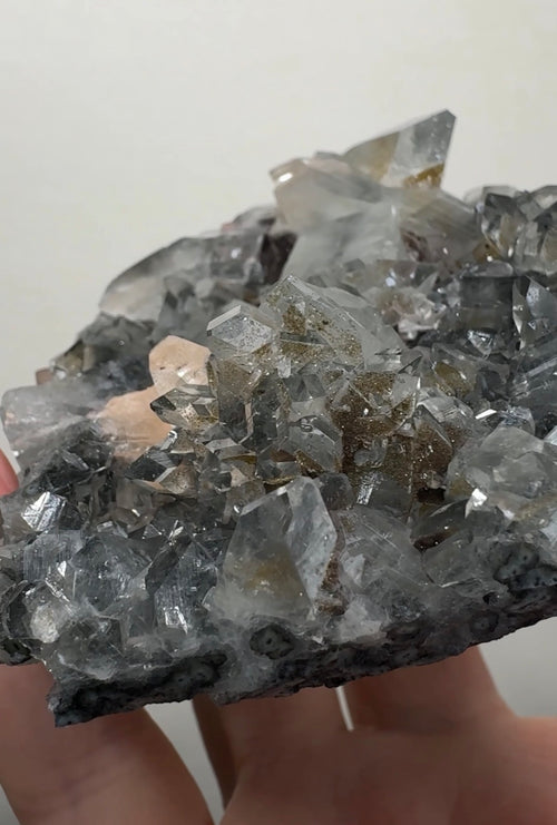 Apophyllite on Black Chalcedony with gold sugar