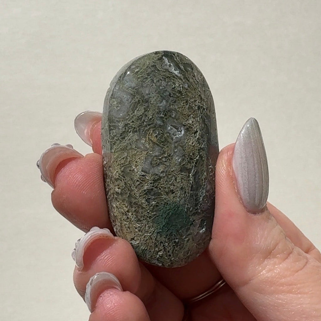 Moss Agate Palmstone | G
