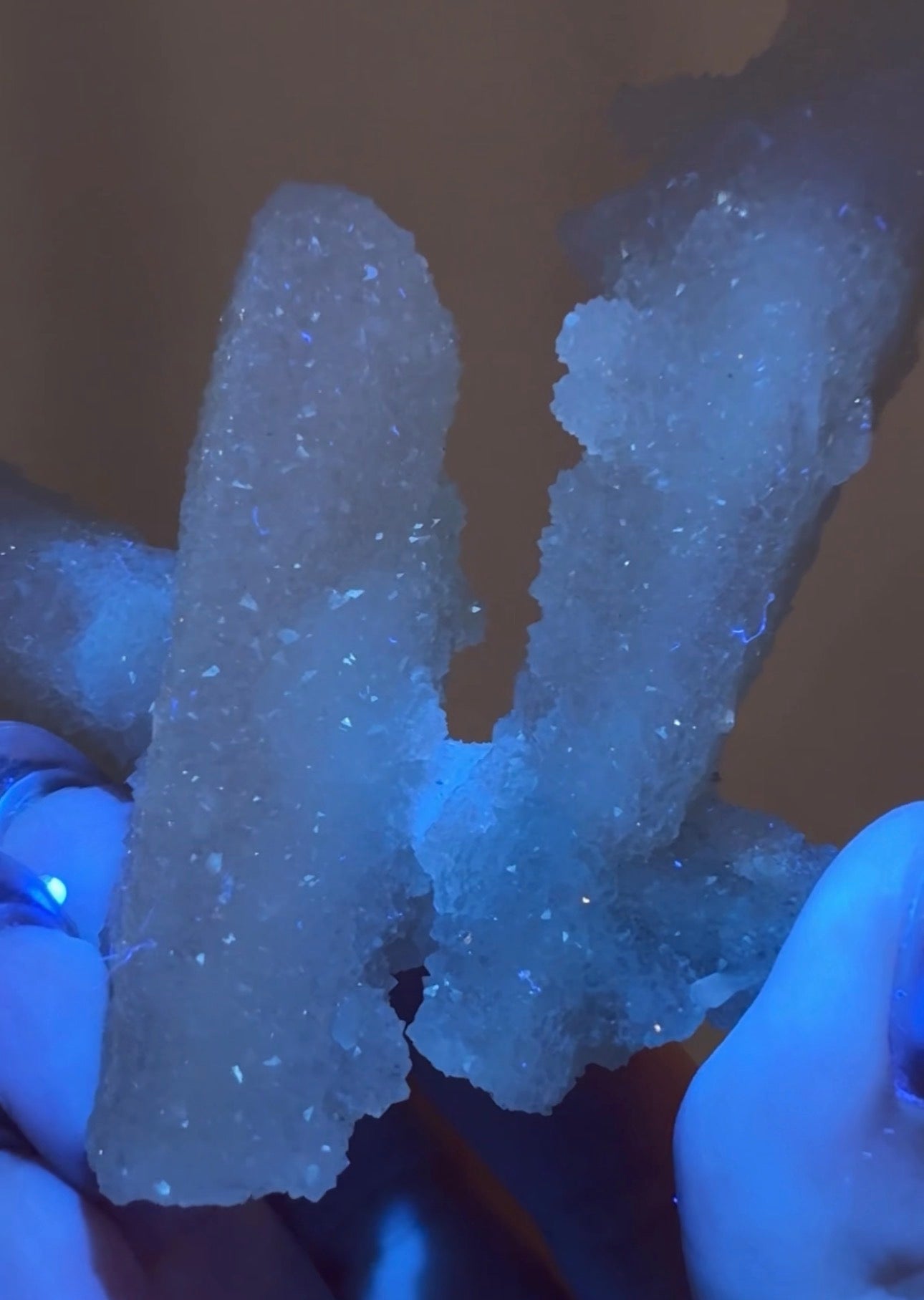Diamond Apophyllite with Calcite | DA22